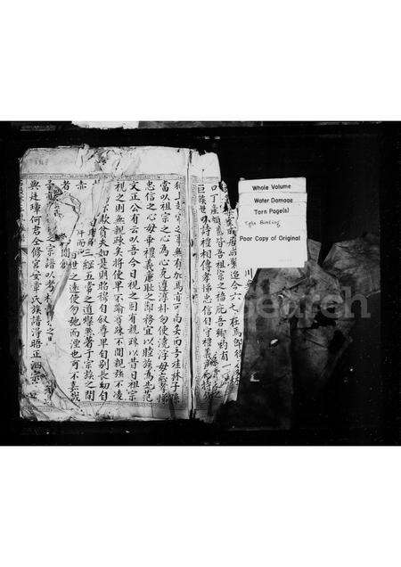 福建王氏族谱-重修石鼓林王氏族谱.pdf电子版预览图1