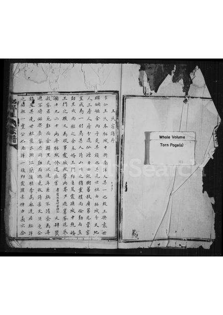 福建王氏族谱-柘洋王氏宗谱 _ [2卷].pdf电子版预览图1