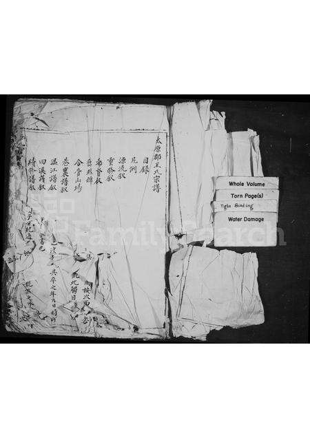 福建王氏族谱-太原郡王氏宗谱.pdf电子版预览图1