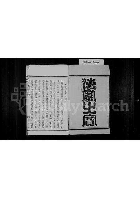 福建王氏族谱-王氏宗谱.pdf电子版预览图1