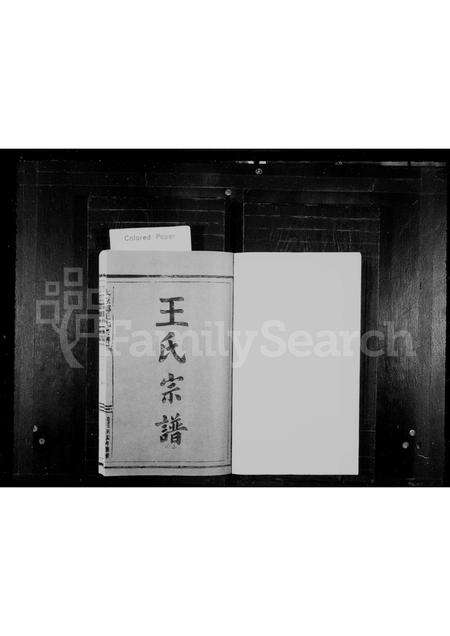 福建王氏族谱-王氏宗谱.pdf电子版预览图1