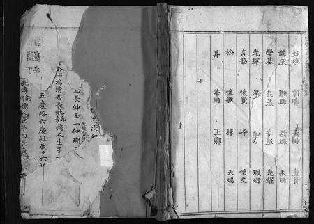 福建袁氏族谱-白砂袁氏族谱 [4卷,及卷首].pdf电子版预览图1