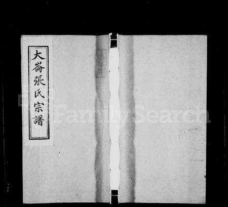 福建张氏族谱-大仑张氏宗谱 [21卷,及卷首末].pdf电子版预览图1