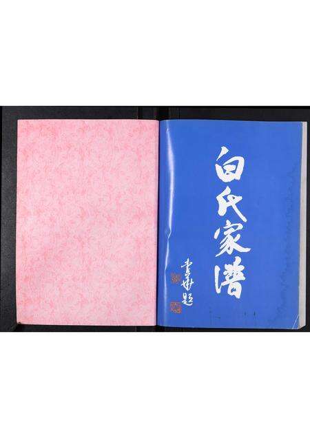 河南白氏族谱-白村白氏家谱.pdf电子版预览图1