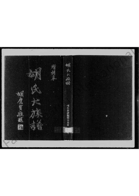 福建胡氏族谱-胡氏大族谱.pdf电子版预览图1