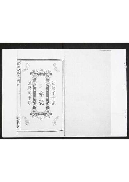 河南陈氏族谱-白云股陈氏宗谱.pdf电子版预览图1