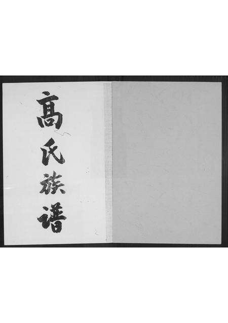 广东高氏族谱-高氏族谱.pdf电子版预览图1