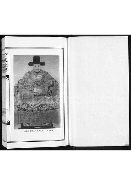 河南高氏族谱-高氏家谱.pdf电子版预览图1