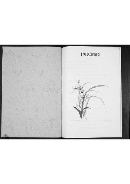 河南郭氏族谱-郭氏族谱[不分卷].pdf电子版预览图1