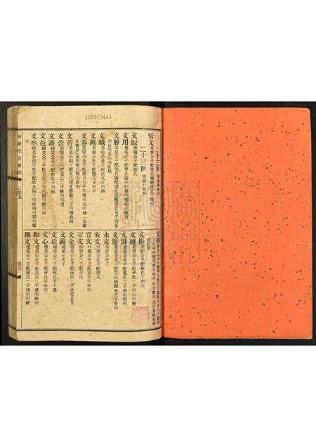 广东李氏族谱-东坑李氏族谱.pdf电子版预览图1