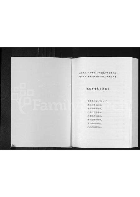 河南李氏族谱-坡东李李氏家谱 [不分卷].pdf电子版预览图1