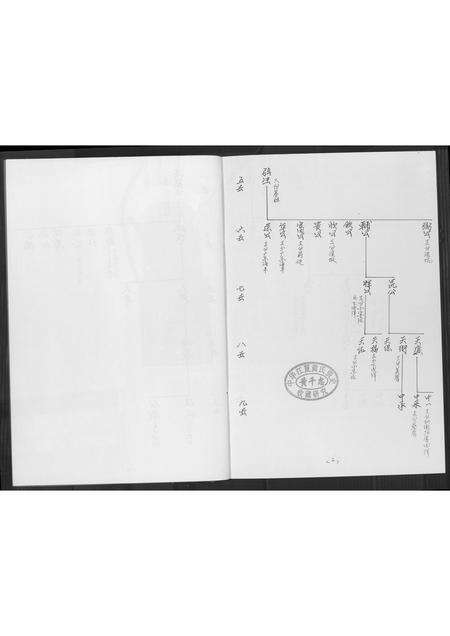 福建黄氏族谱-同安房金柄纶公派下支分文斗安聚公(字驰复)分布支图简录.pdf电子版预览图1