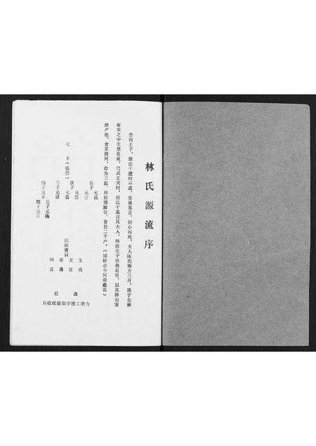 广东林氏族谱-林氏元丰家谱.pdf电子版预览图1