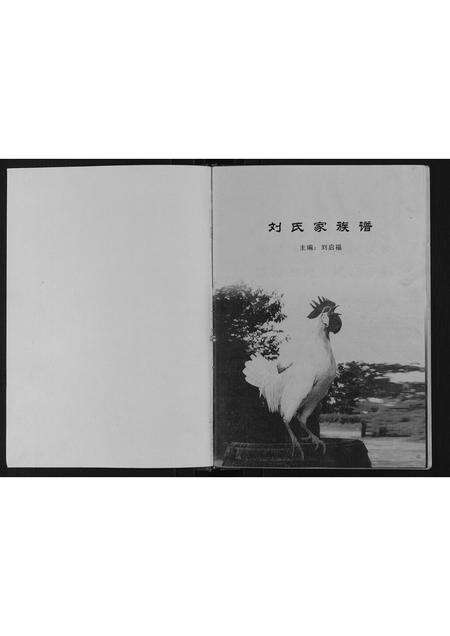 河南刘氏族谱-刘氏家族谱.pdf电子版预览图1