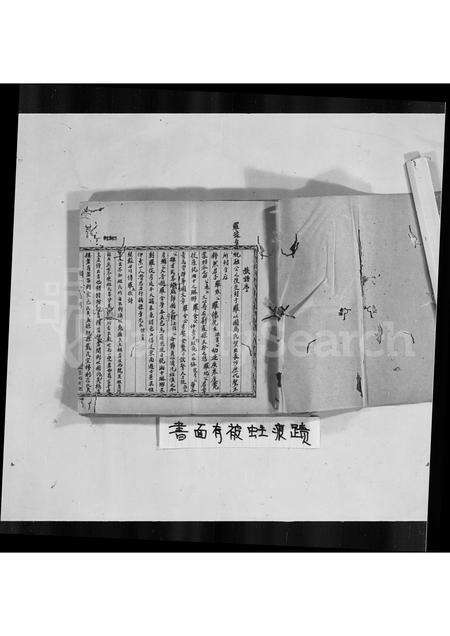 广东罗氏族谱-罗氏族谱.pdf电子版预览图1