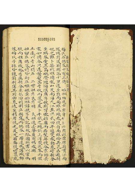 广东梅氏族谱-新甯端芬梅氏族谱.pdf电子版预览图1