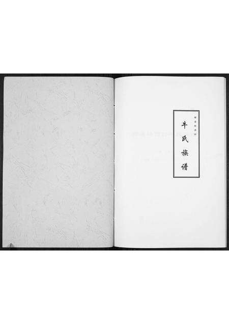 河南牛氏族谱-牛氏族谱[不分卷].pdf电子版预览图1