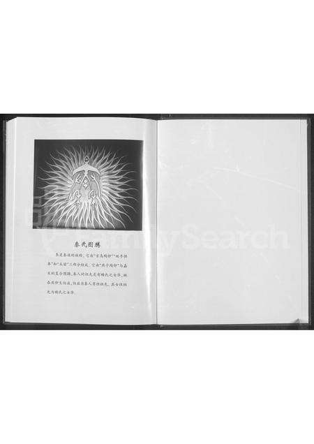 河南秦氏族谱-秦氏家谱 [不分卷].pdf电子版预览图1