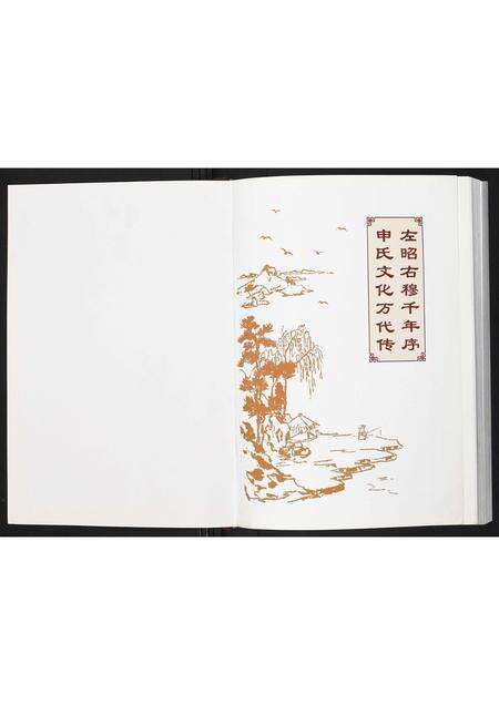 河南申氏族谱-申氏族谱.pdf电子版预览图1