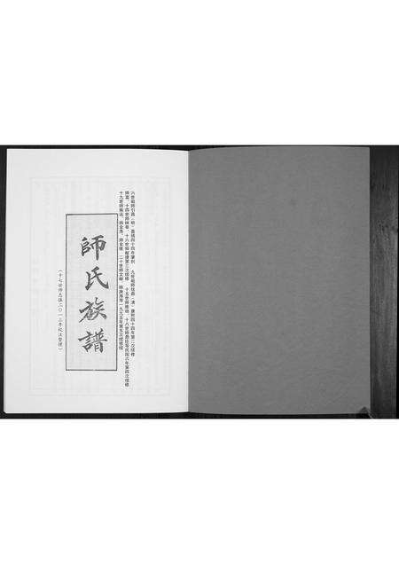 河南帅氏族谱-师氏族谱[不分卷].pdf电子版预览图1