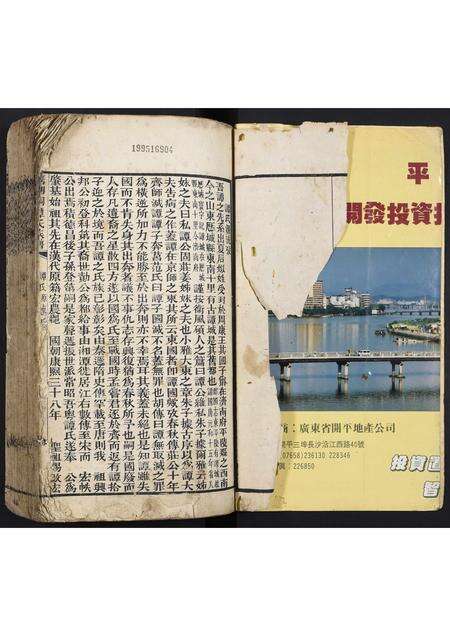 广东谭氏族谱-清湖洞谭氏族谱.pdf电子版预览图1