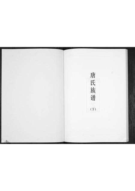 广东唐氏族谱-唐氏族谱.pdf电子版预览图1