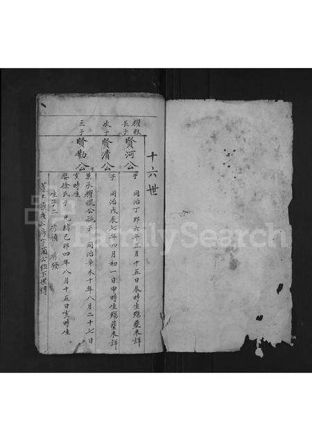 江西、安徽王氏族谱-王氏世次十六一号.pdf电子版预览图1