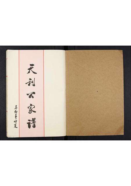 广东王氏族谱-下尾王氏族谱.pdf电子版预览图1