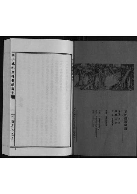 广东王氏族谱-王氏北山盛礼房谱.pdf电子版预览图1