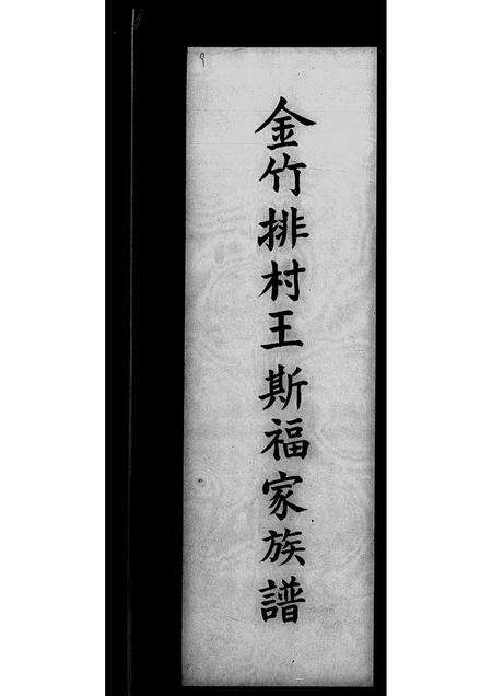 广东王氏族谱-金竹排村王斯福家族谱.pdf电子版预览图1