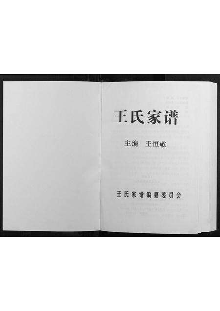 河南王氏族谱-王氏家谱.pdf电子版预览图1