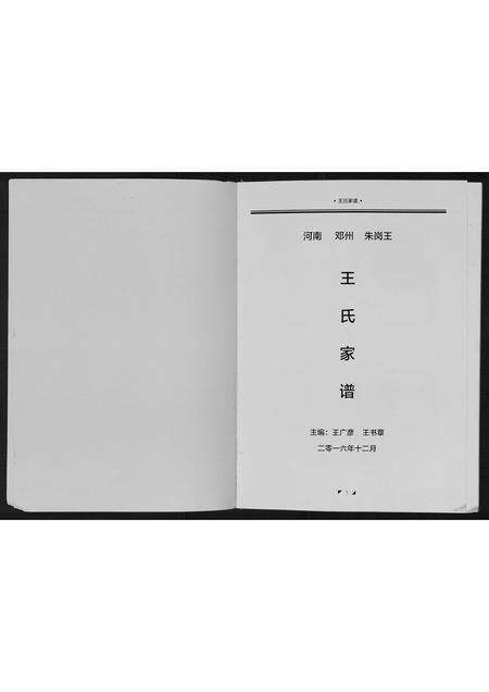 河南王氏族谱-王氏家谱[不分卷].pdf电子版预览图1