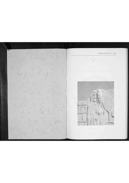 河南王氏族谱-王氏家谱[不分卷].pdf电子版预览图1