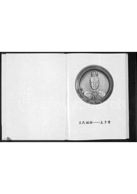 河南王氏族谱-王氏家谱 [不分卷].pdf电子版预览图1