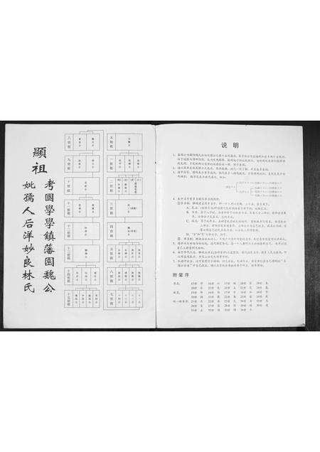 广东魏氏族谱-[魏氏]藩园公家谱.pdf电子版预览图1