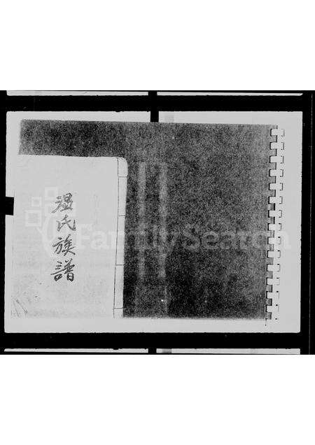 广东温氏族谱-温氏族谱.pdf电子版预览图1