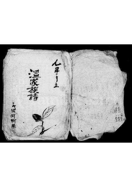 广东温氏族谱-温家族谱.pdf电子版预览图1