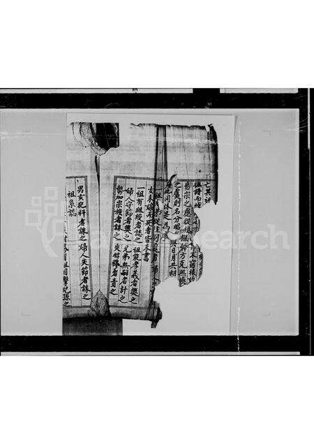 广东温氏族谱-温氏族谱.pdf电子版预览图1