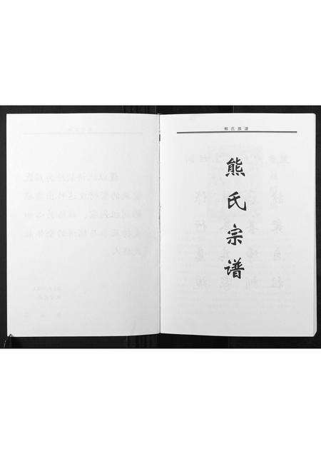 河南熊氏族谱-熊氏族谱.pdf电子版预览图1