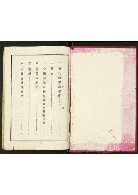 河南杨氏族谱-杨氏族谱.pdf电子版预览图1