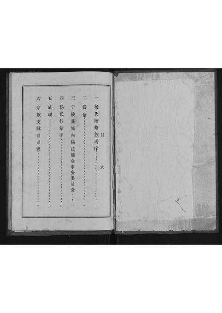 河南杨氏族谱-杨氏族谱.pdf电子版预览图1