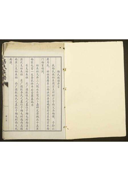 河南杨氏族谱-杨氏族谱.pdf电子版预览图1