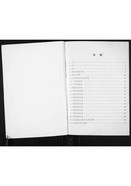 河南杨氏族谱-杨珍宗族世系家牒.pdf电子版预览图1