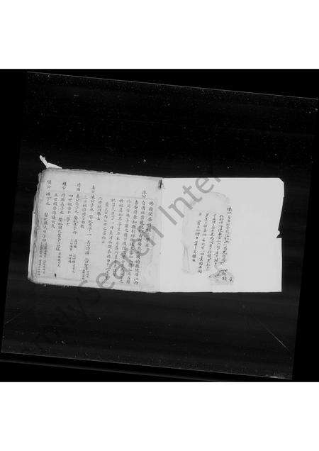 广东、福建叶氏族谱-[佛岭]叶氏族谱.pdf电子版预览图1