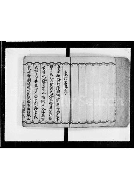 广东袁氏族谱-袁氏族谱.pdf电子版预览图1