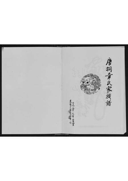 河南章氏族谱-唐桐章氏家族谱.pdf电子版预览图1