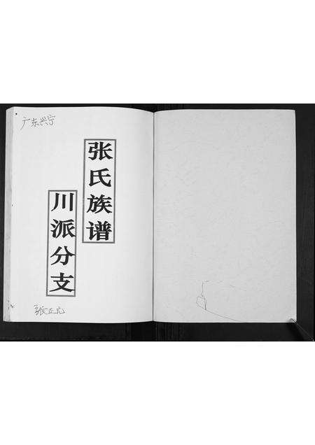 广东张氏族谱-张氏族谱.pdf电子版预览图1