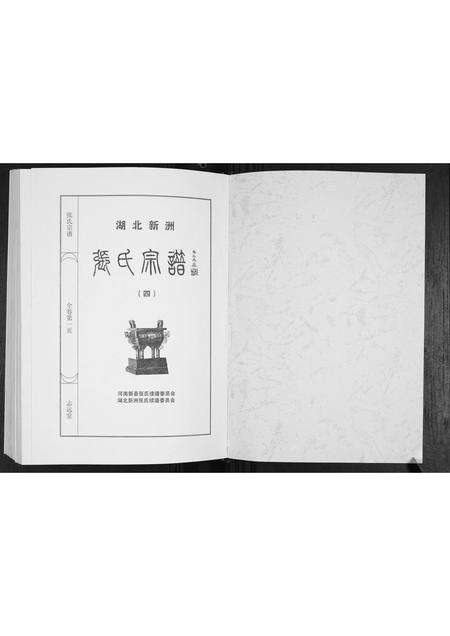 河南张氏族谱-张氏宗谱.pdf电子版预览图1