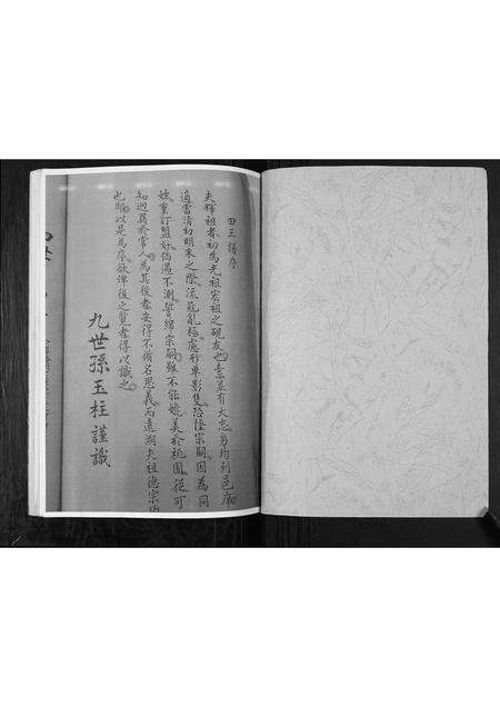 河南张氏族谱-张氏家谱.pdf电子版预览图1