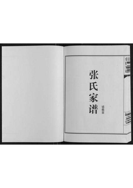 河南张氏族谱-张氏家谱[不分卷].pdf电子版预览图1